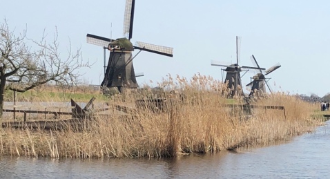 Three Windmills in Kinderdijk