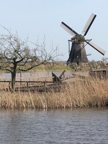 On a Sunny Day in Kinderdijk