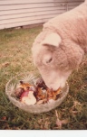 Fruit salad? Why yes I will. Lamby 1982